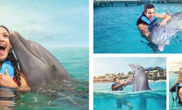 Golfinho Isla Mujeres – Royal Conexão