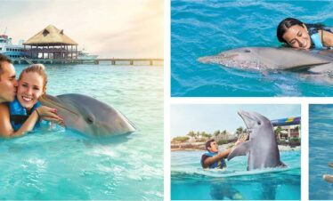 Golfinhos Isla Mujeres – Conexão