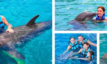 Golfinhos Isla Mujeres – Encontro